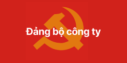 to-chuc-doan-the